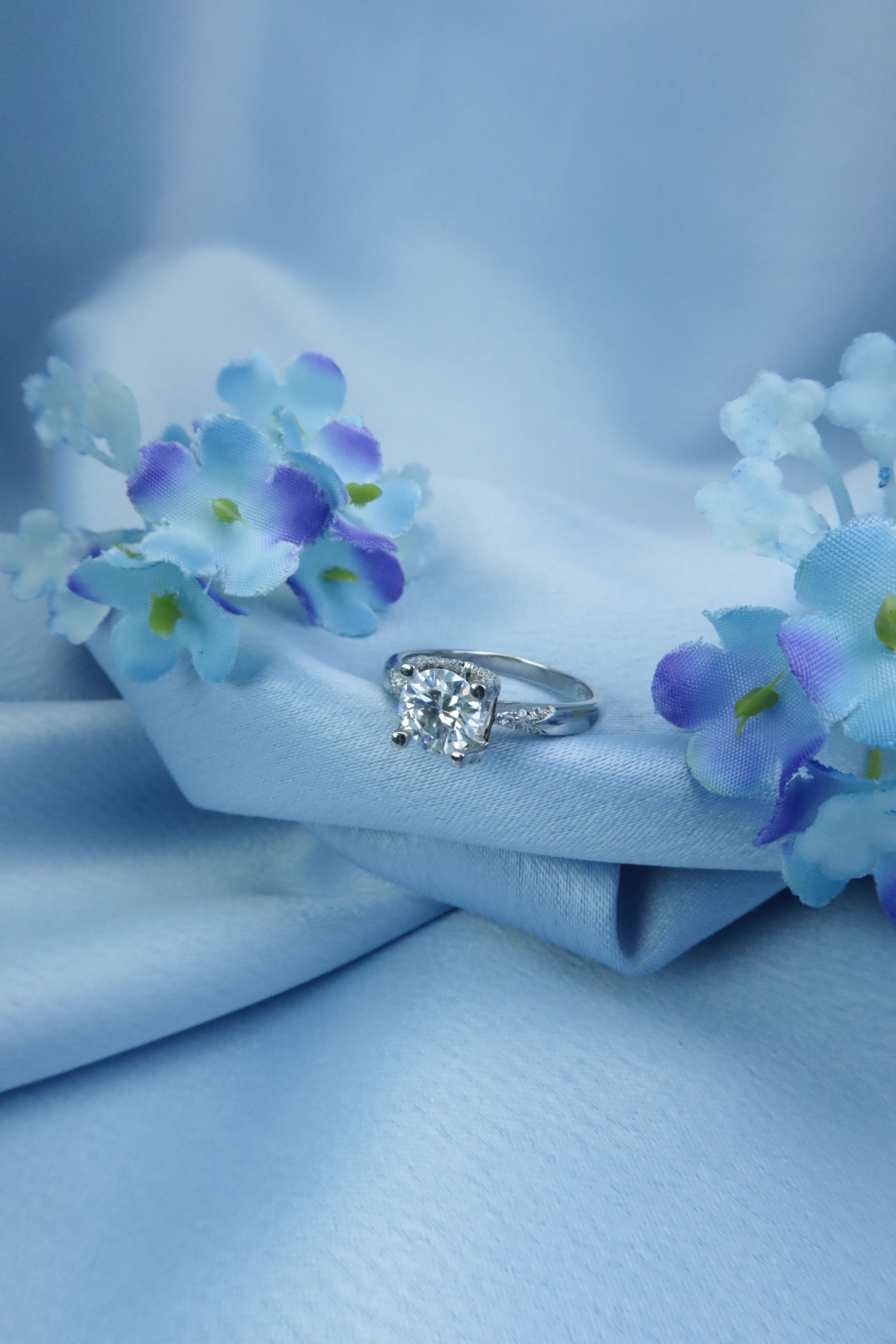 Aurora's Crown