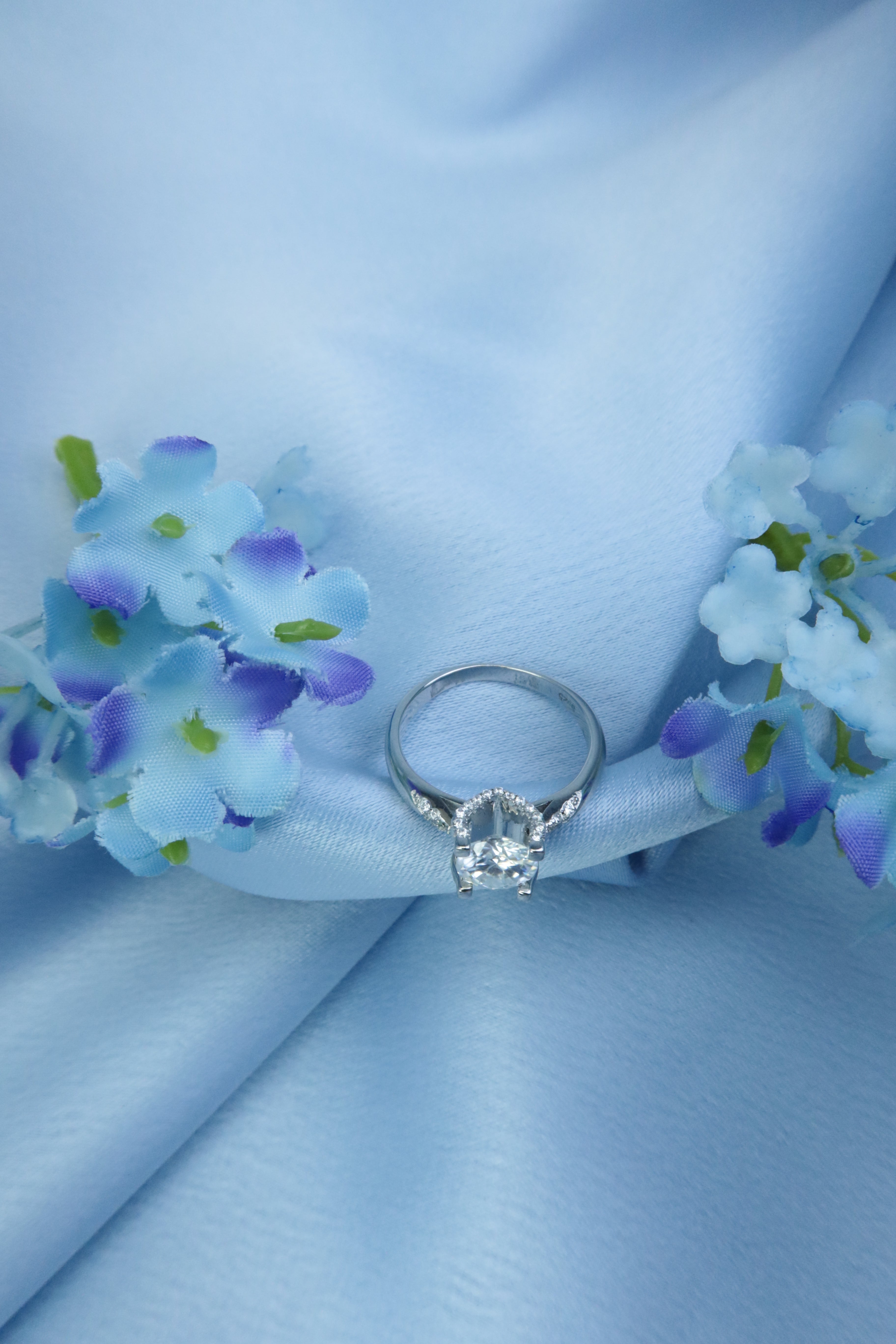 Aurora's Crown