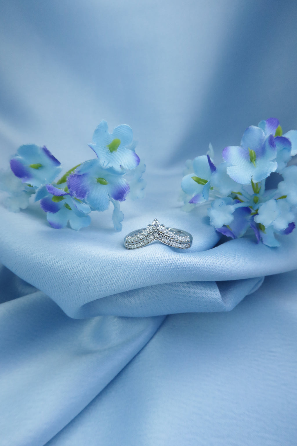 Crown Princess