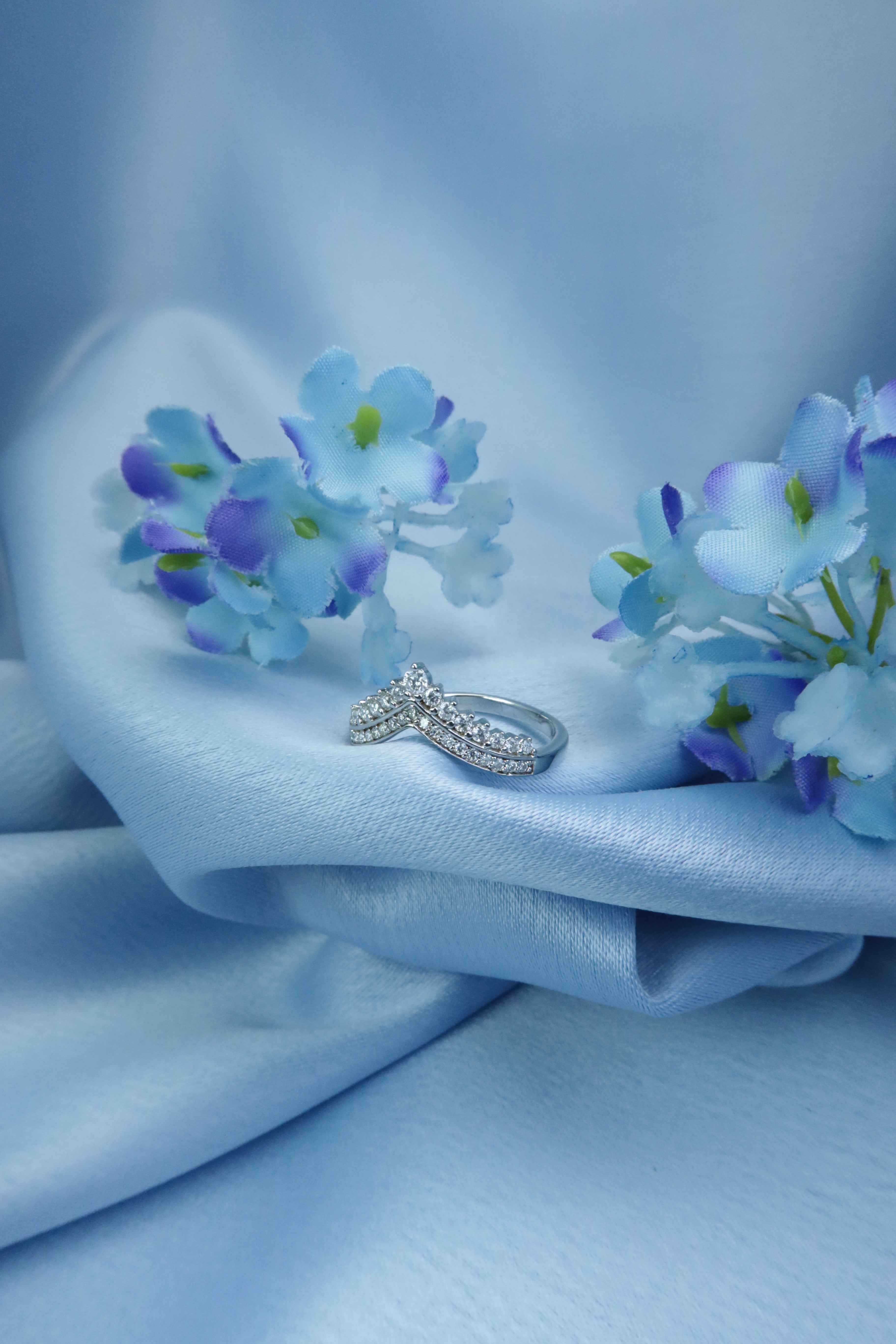 Crown Princess