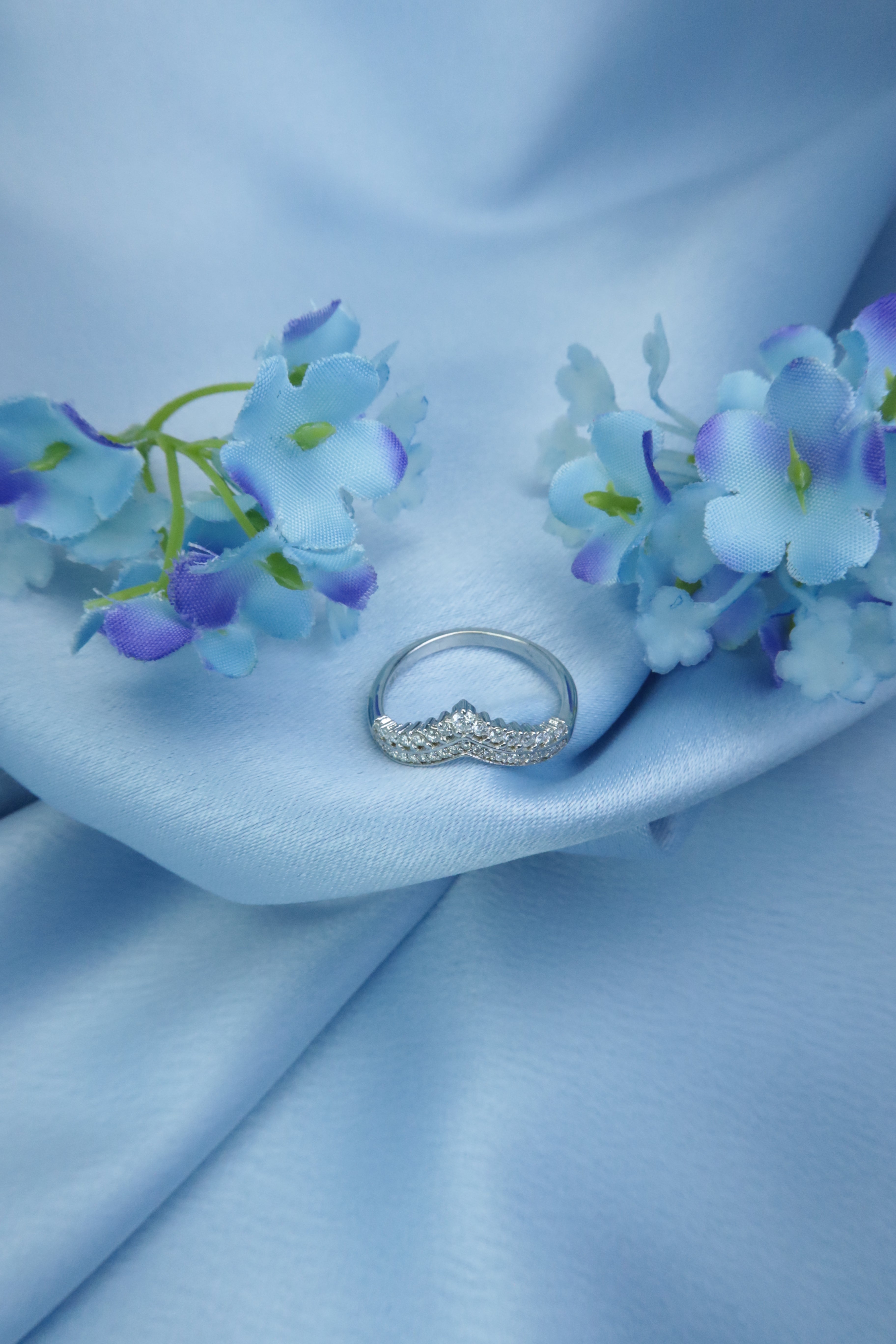 Crown Princess