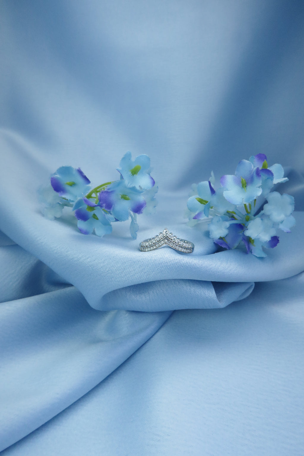 Crown Princess
