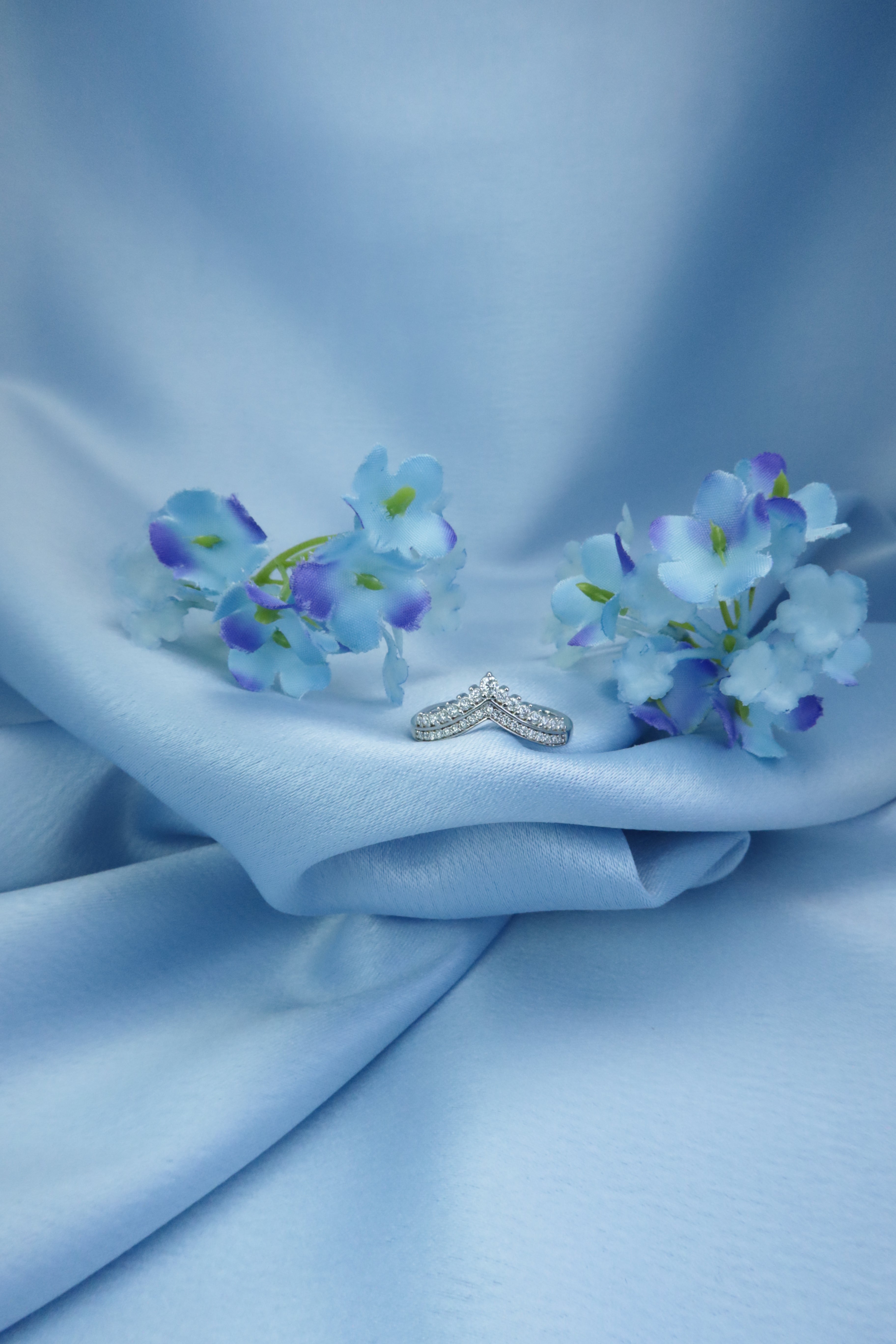 Crown Princess